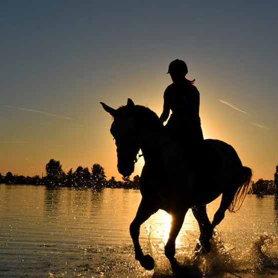 PRIVATE ROMANTIC SUNSET HORSE RIDING AT MARMARI BEACH